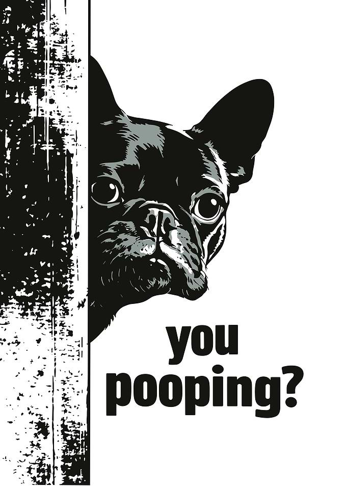 Peeking Dog - You Pooping?