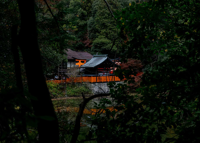 Japanese Temple in Forest