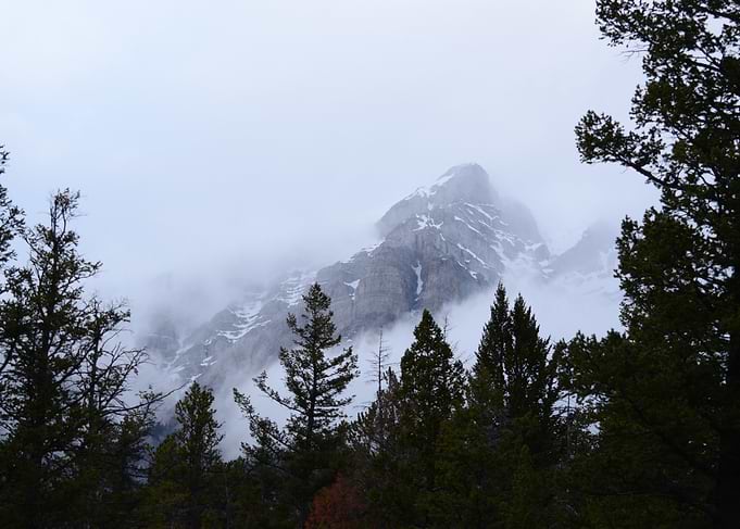 Misty Mountain Landscape with Pine Trees