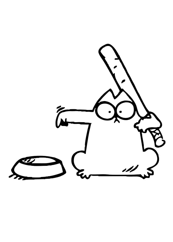 cat asks for food with Baseball Bat