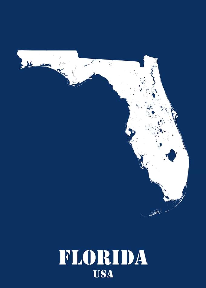 Florida USA State Minimalist White Topographic Contour Relief Map featuring terrain on navy blue background