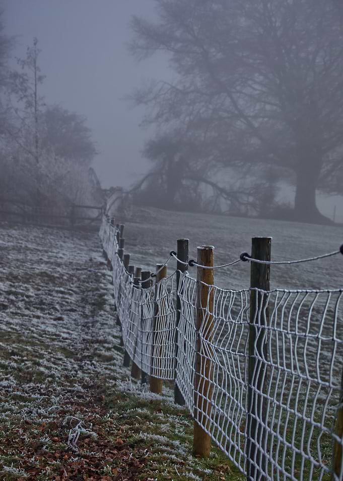 Frosty Fence in a Winter Landscape