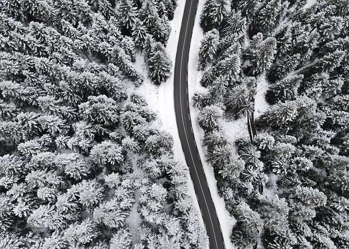 Snowy Forest Road Aerial View