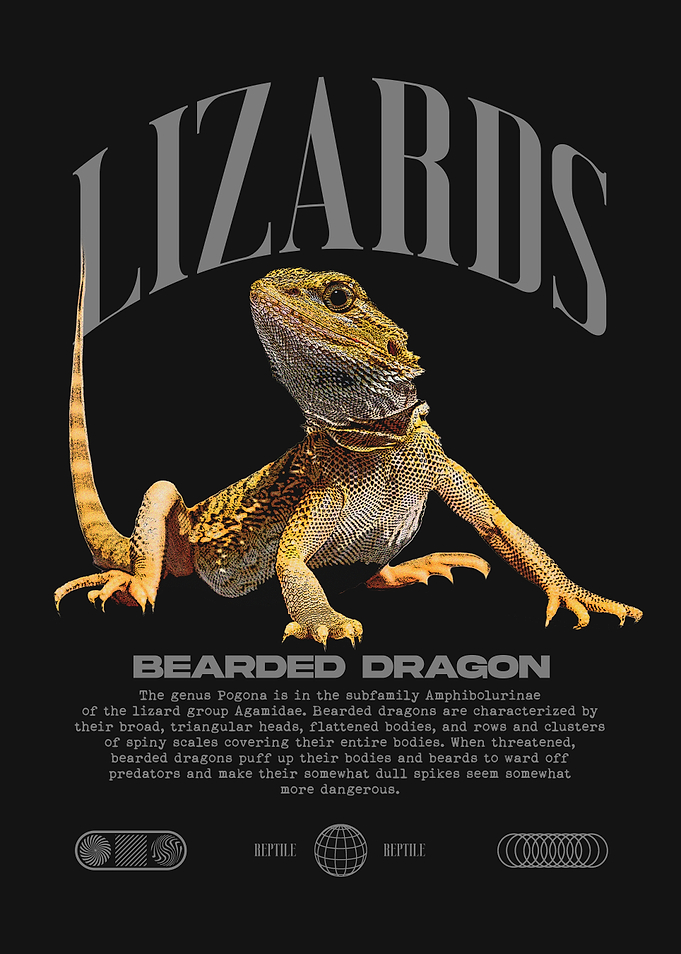 Bearded Dragon Reptile Owner