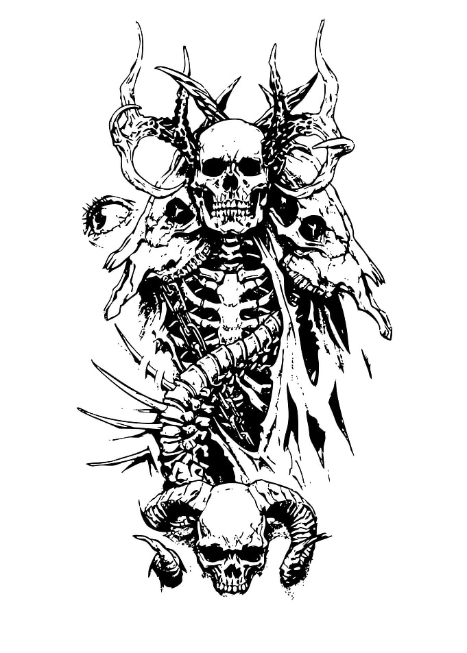 Black and White Skull Illustration