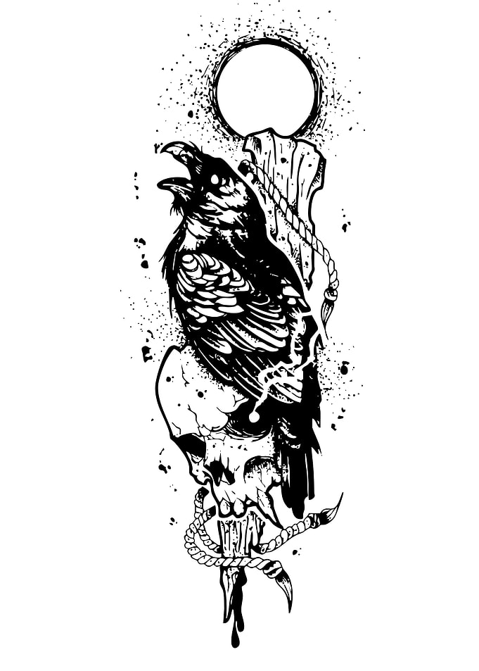 Raven and Skull Black Ink Illustration