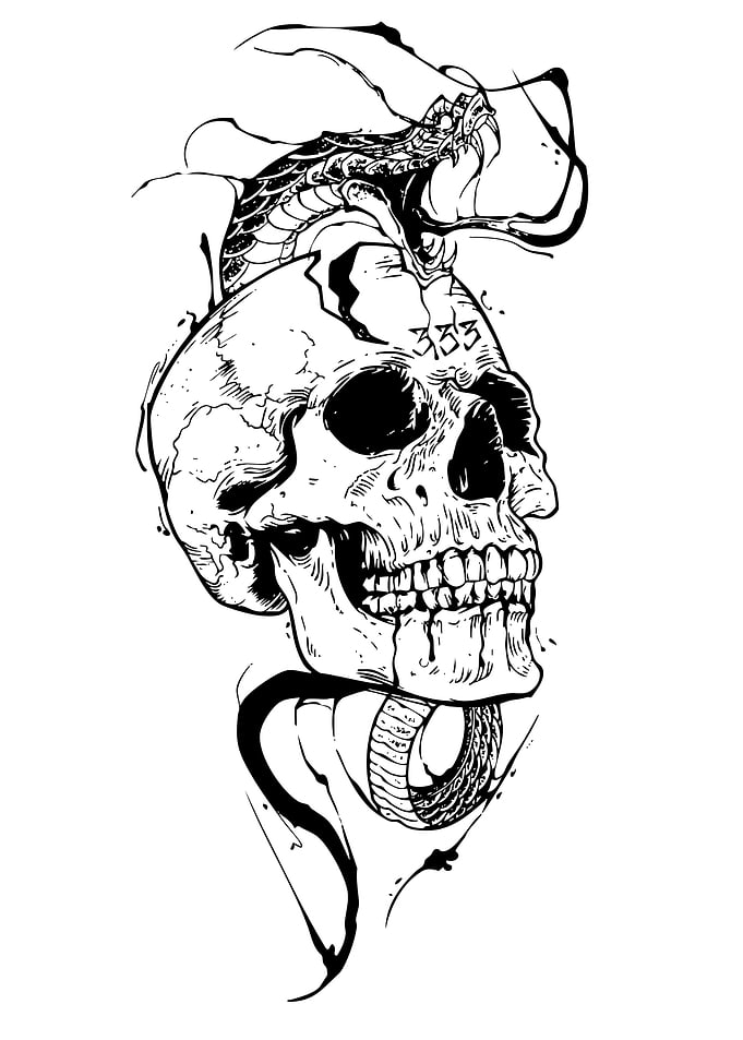 Skull and Snake Black and White Art