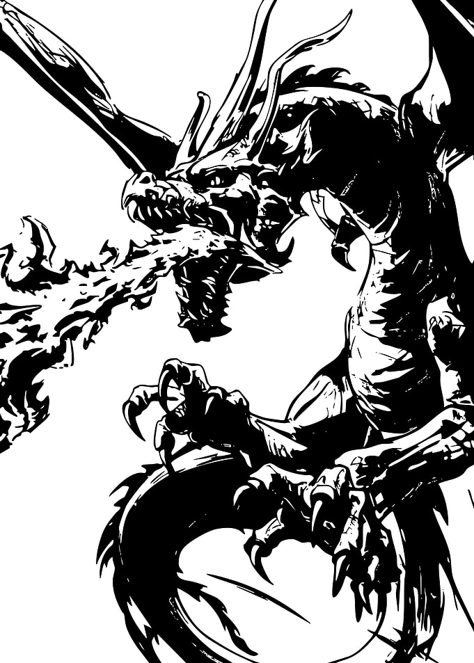 Black and White Dragon Illustration