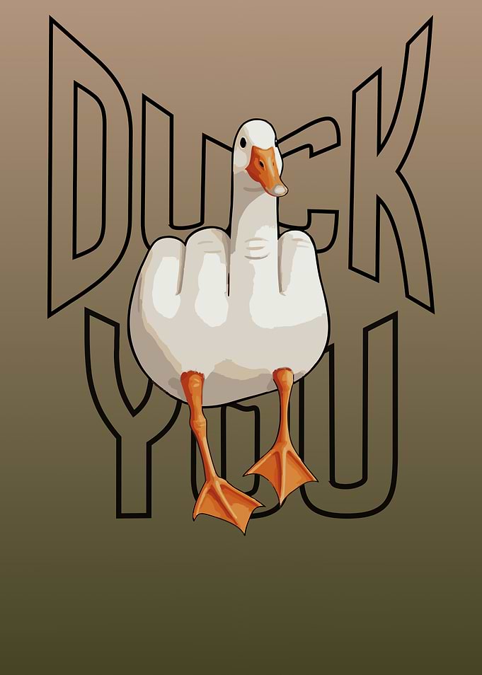 Duck You Funny Graphic