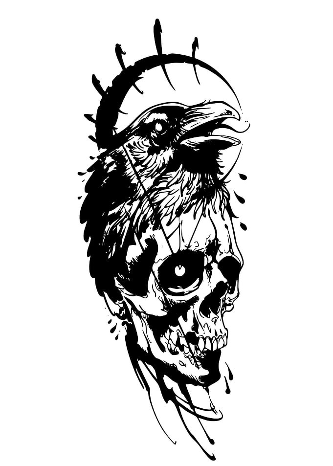 Raven and Skull Black Ink Illustration