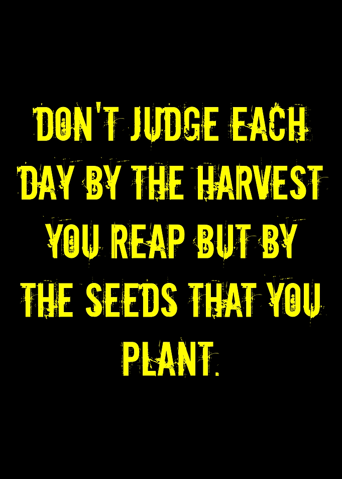Inspirational Quote: Seeds You Plant