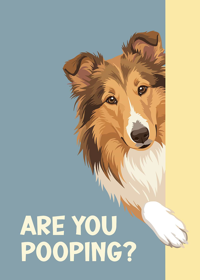 Are You Pooping? Rough Collie
