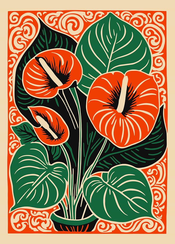 Anthurium Plant Illustration