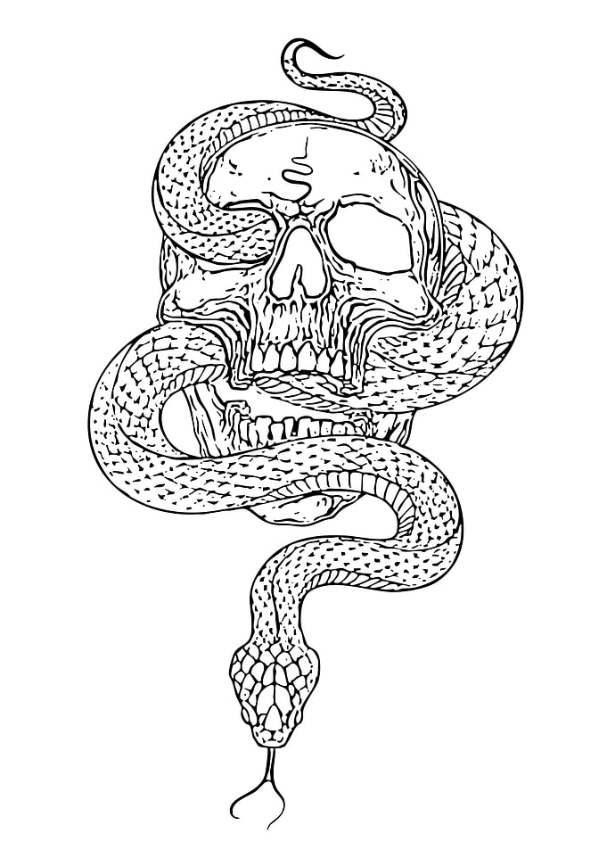 Skull and Snake Black and White