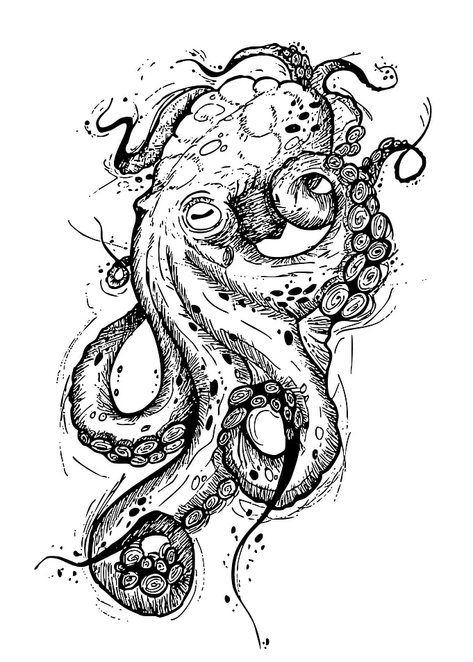 Detailed Octopus Ink Drawing