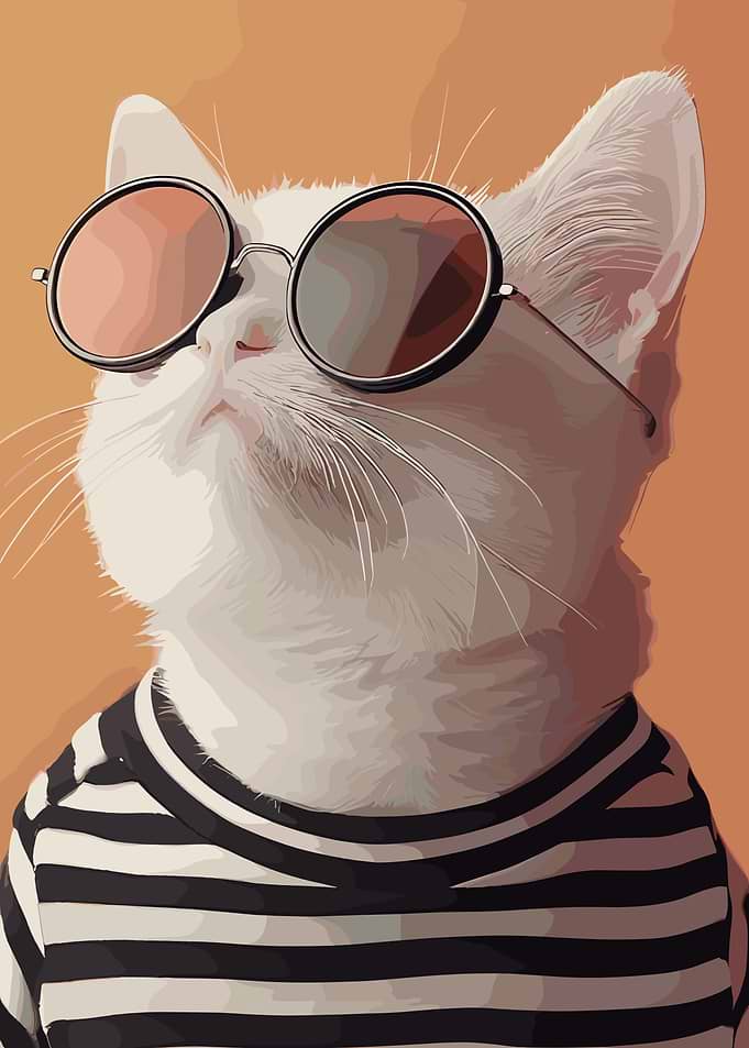 Cool Cat with Sunglasses and Shirt