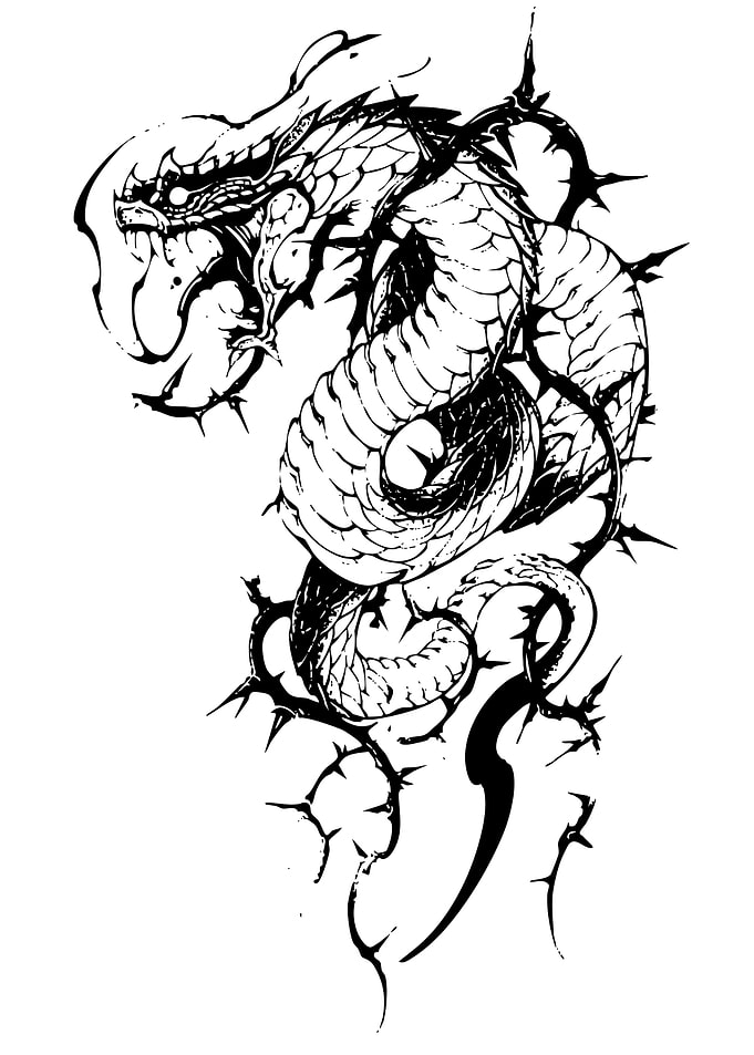 Dragon entwined with thorns, black and white
