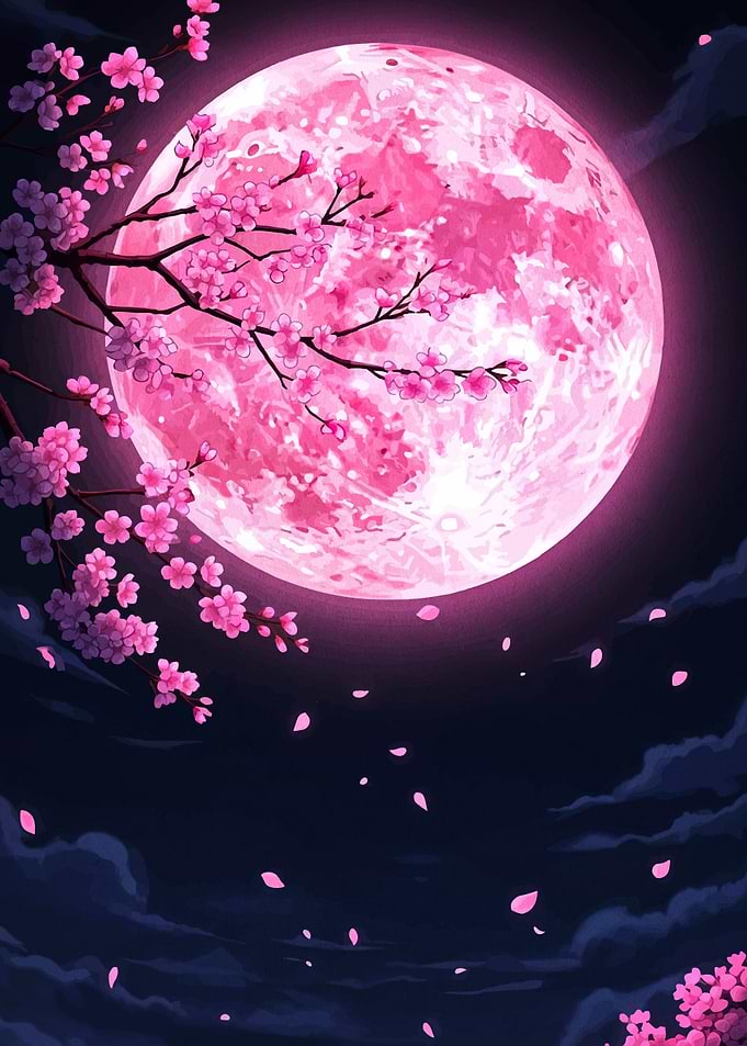 Pink Moon and Cherry Blossoms