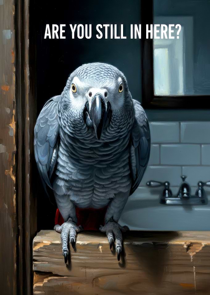 Parrot in Bathroom