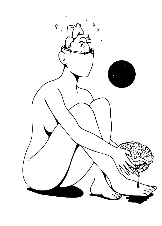 Anatomical Heart and Brain Illustration