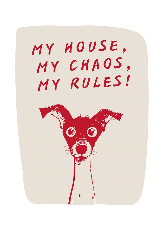 My House, My Chaos, My Rules
