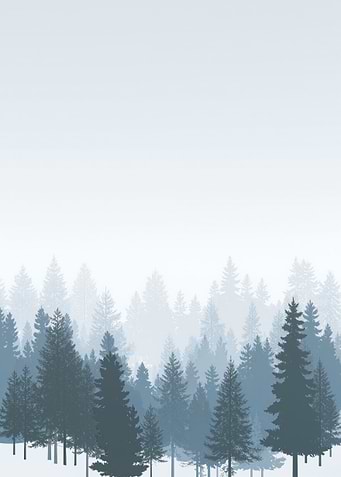 Misty Winter Blue Forest