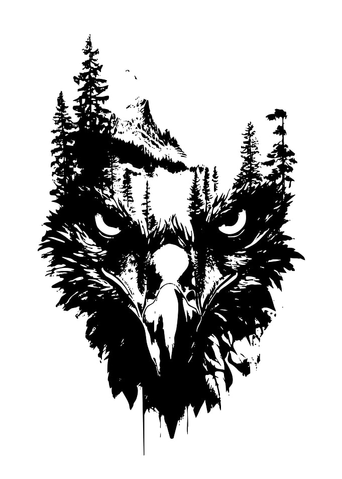 Eagle and Mountain Black and White