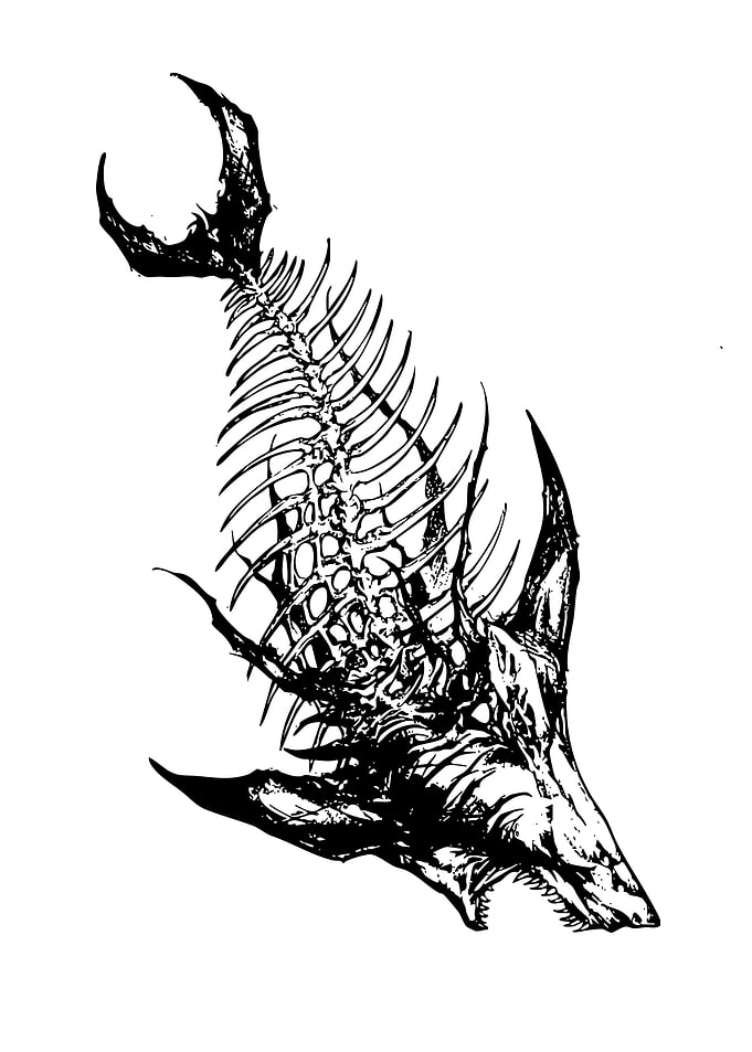 Skeletal Fish Creature Black and White