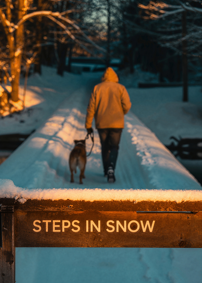 Steps in Snow: Winter Walk