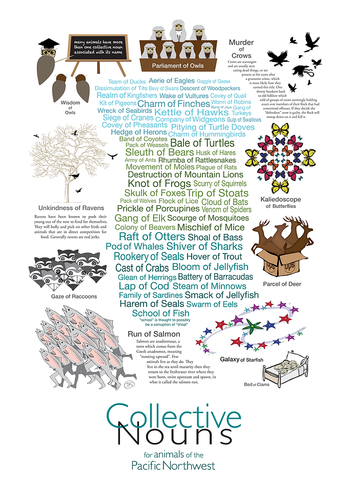 Collective Nouns: Animals of the Pacific Northwest