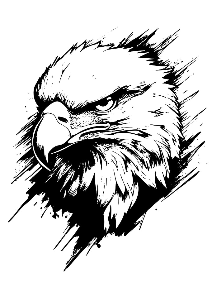 Eagle Head Black and White Illustration