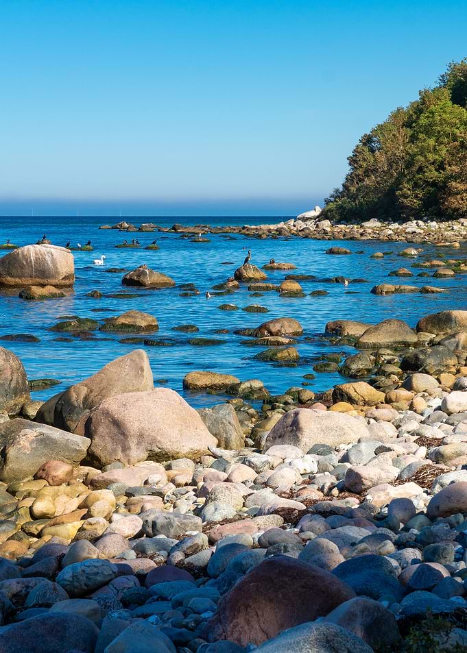 Wild Baltic Sea Shore summer