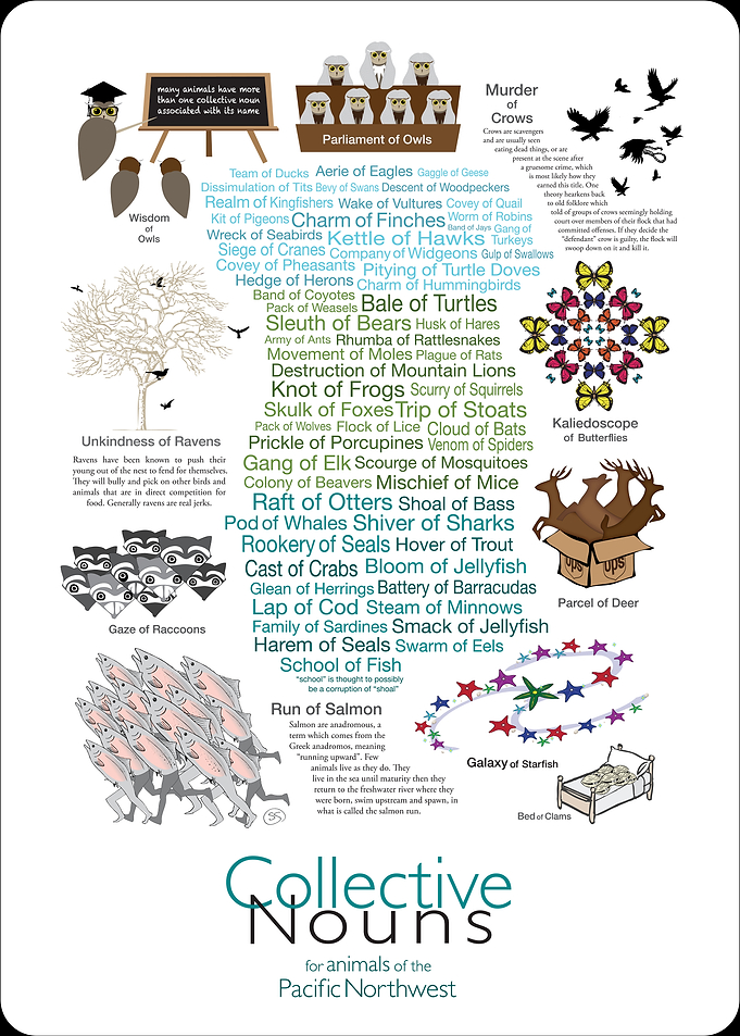 Collective Nouns for Animals of the Pacific Northwest