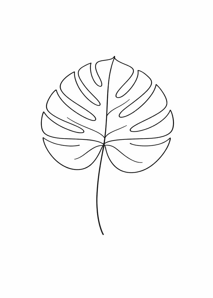 Monstera Leaf Line Art
