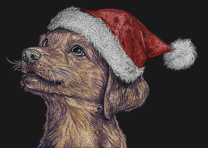 Dog with Santa Hat