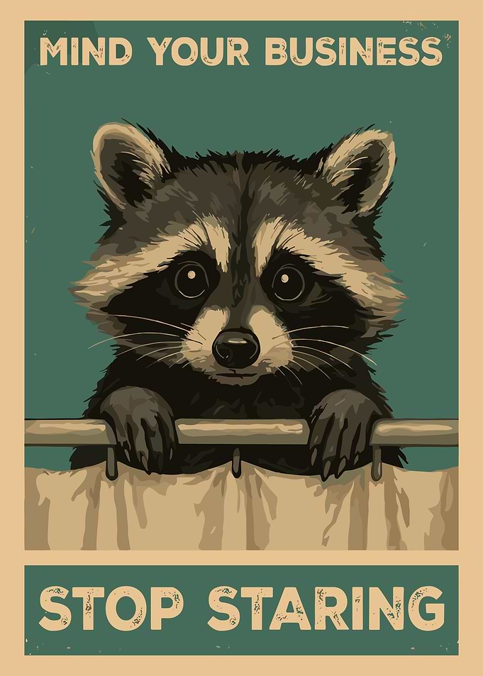 Mind Your Business Raccoon Poster, Funny Vintage Animal Wall Art, Stop Staring Print