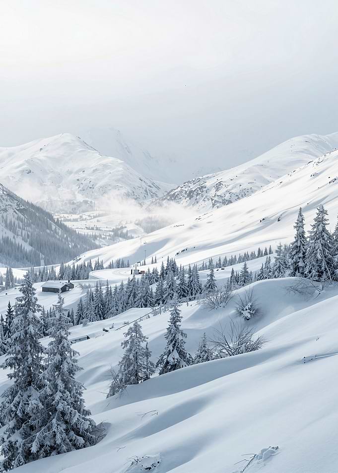 Snowy Mountain with Pine Trees