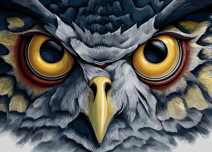 Detailed Owl Face Close-Up