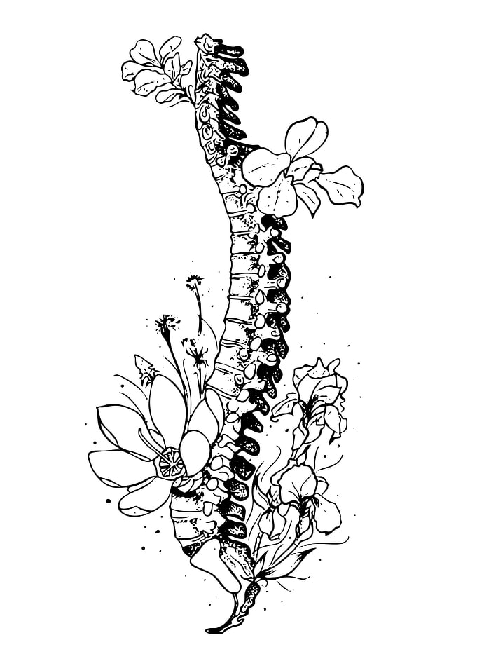 Floral Spine Anatomy Black and White