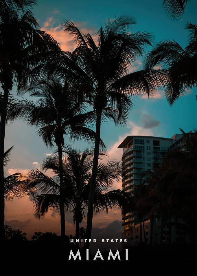 Miami Palm Trees at Sunset
