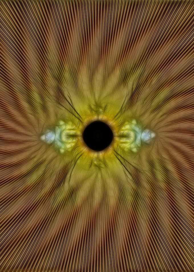 Frac iris