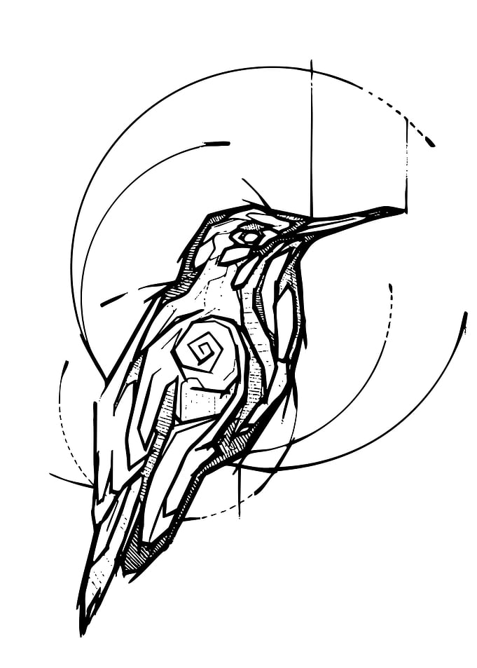 Geometric Bird Line Art