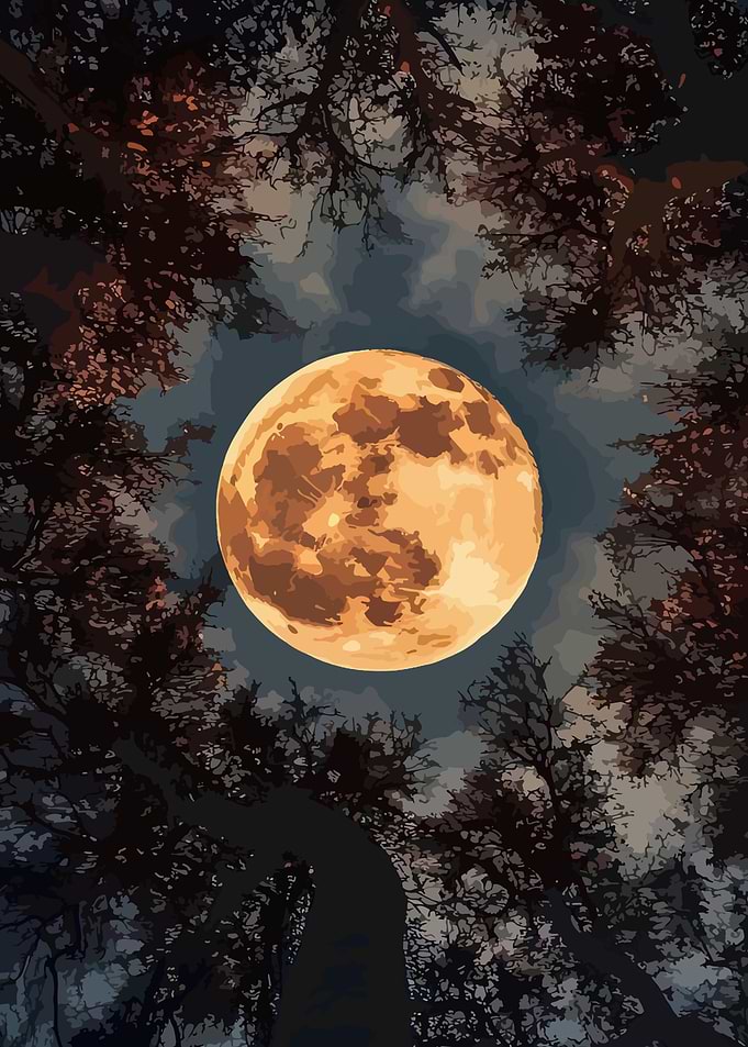 Full Moon Through Trees