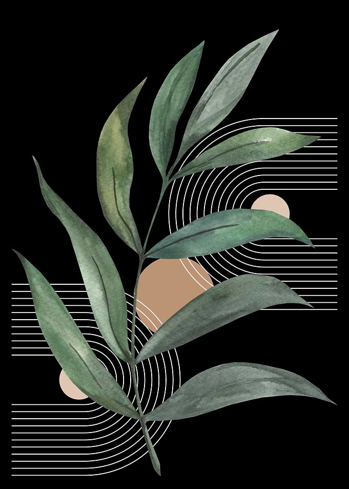 Botanical Abstract Art on Black Background