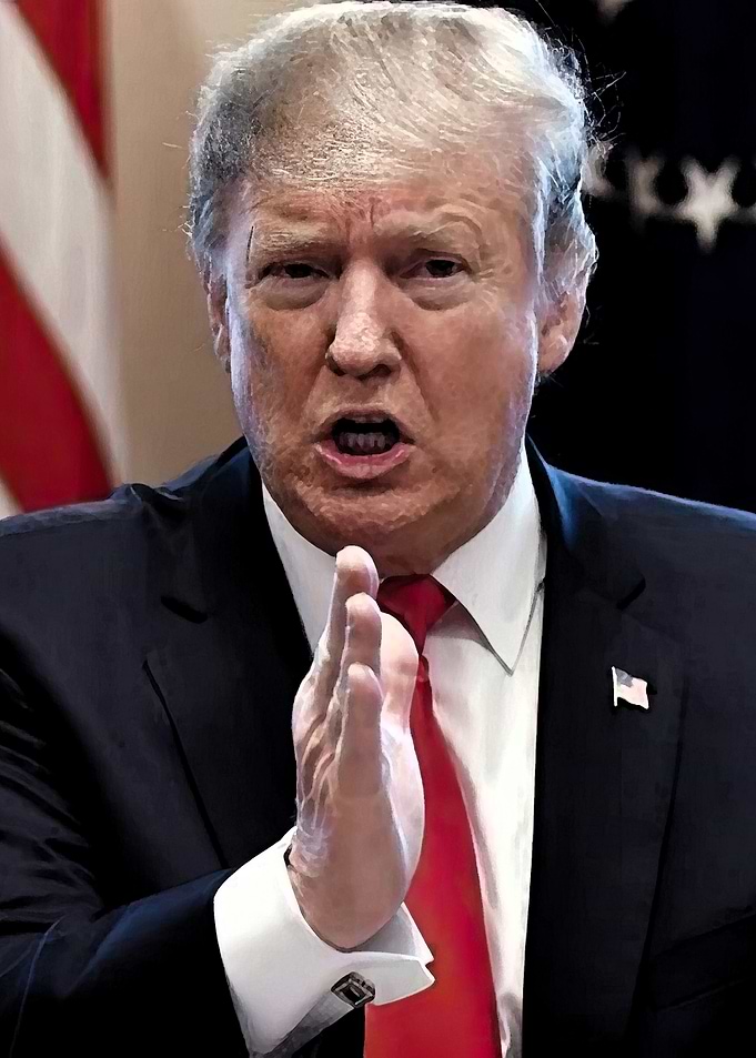 Donald Trump Portrait