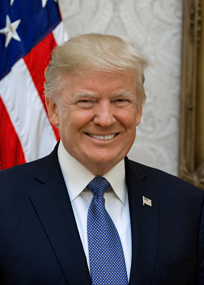 Donald Trump Portrait