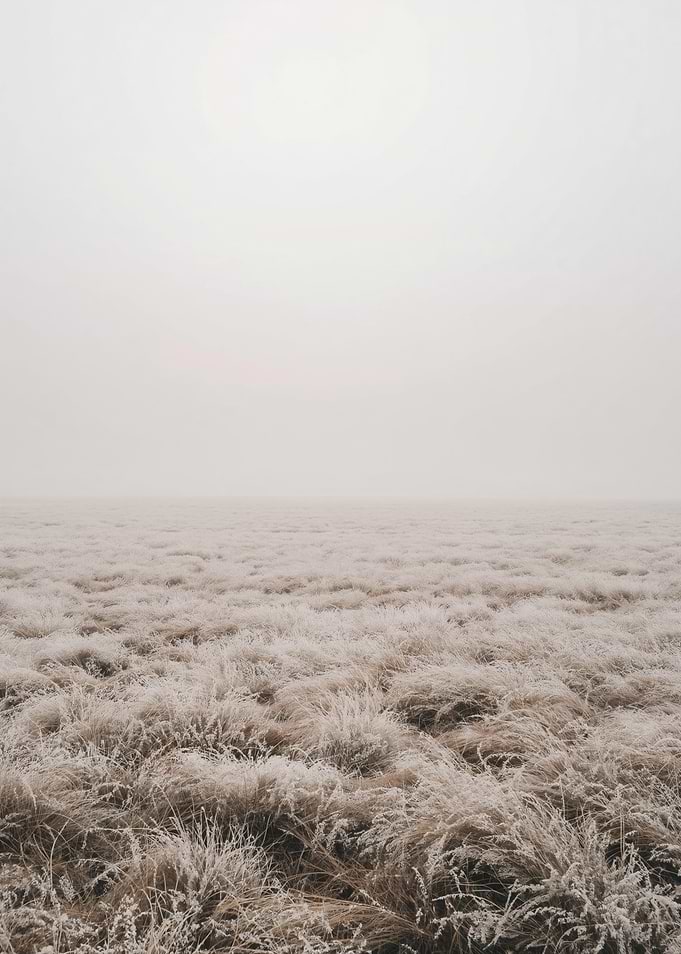 Frosty Field Landscape