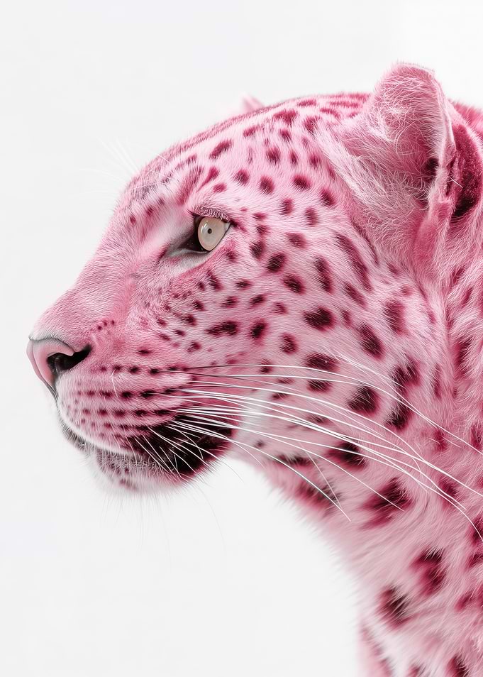 Pink Leopard