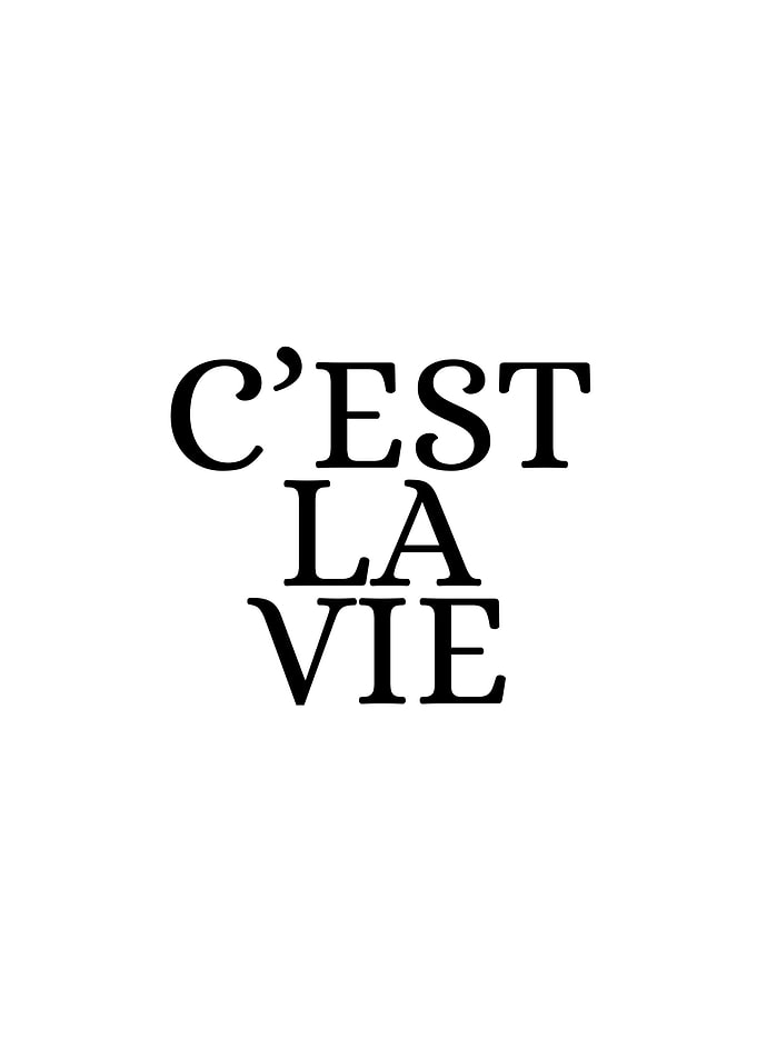 C'est la vie text art