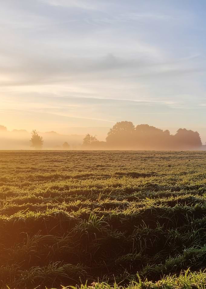 Misty Sunrise Over Field